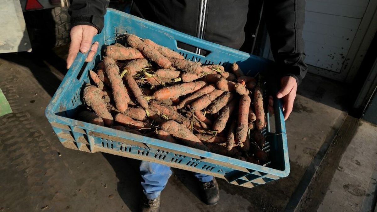 Bergen aardappelen, loodsen vol groente: hoe komen we eraan en hoe komen we er af?