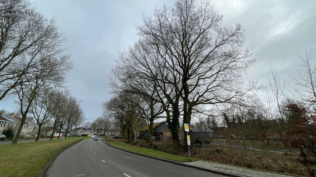 roeken Marsdijk nesten weg