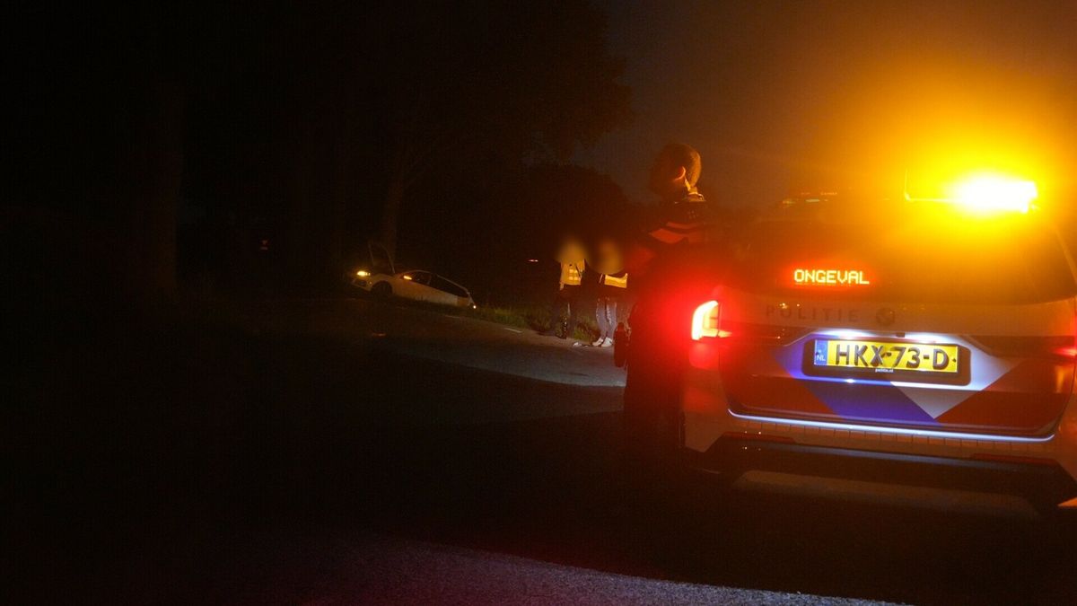 Automobilist mist bocht en rijdt tegen boom in Hooghalen