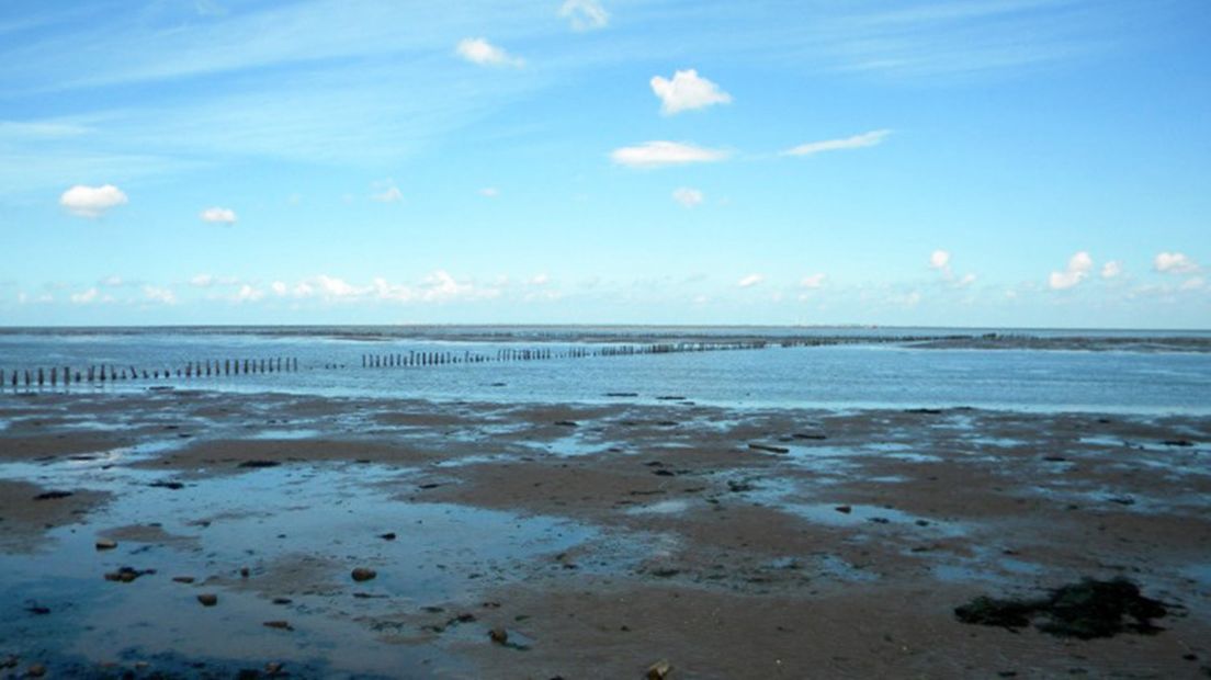 Een archieffoto van de Waddenzee