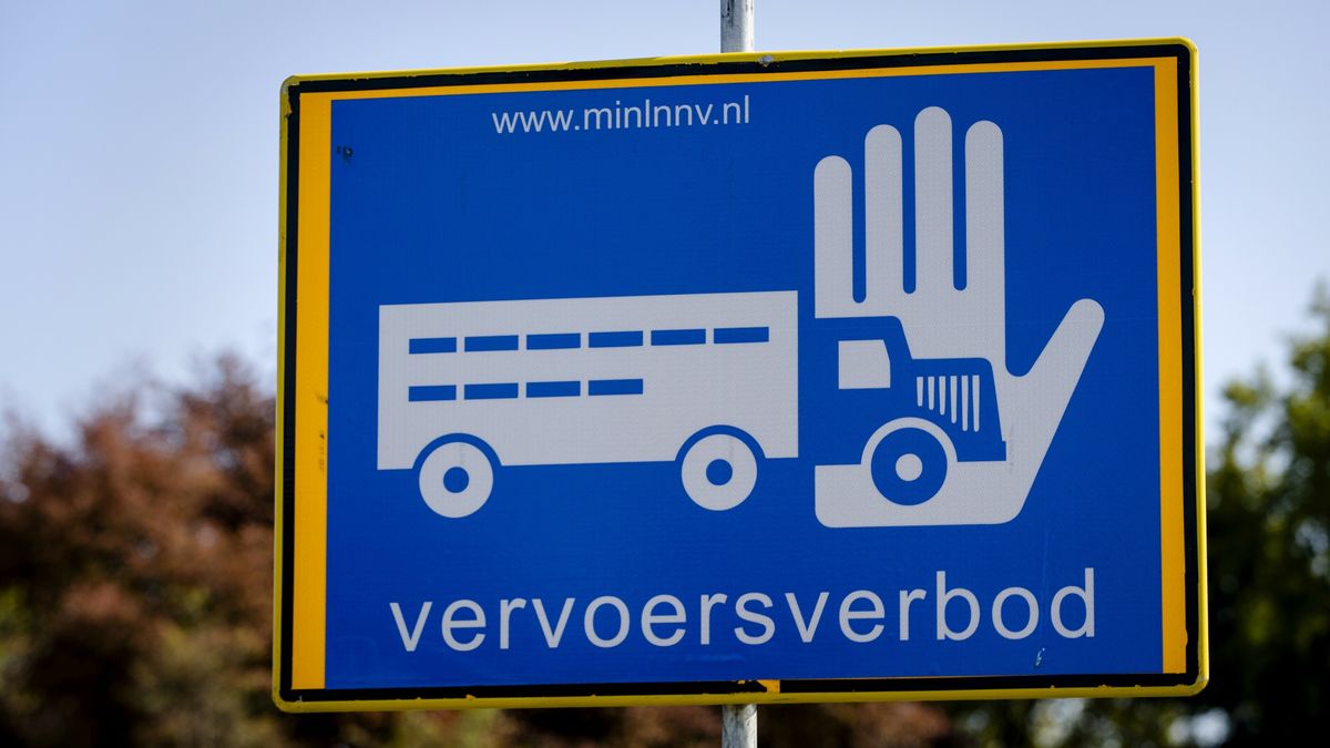 Uitbraak vogelgriep op pluimveebedrijf Gasselternijveenschemond, 71.000 dieren worden geruimd