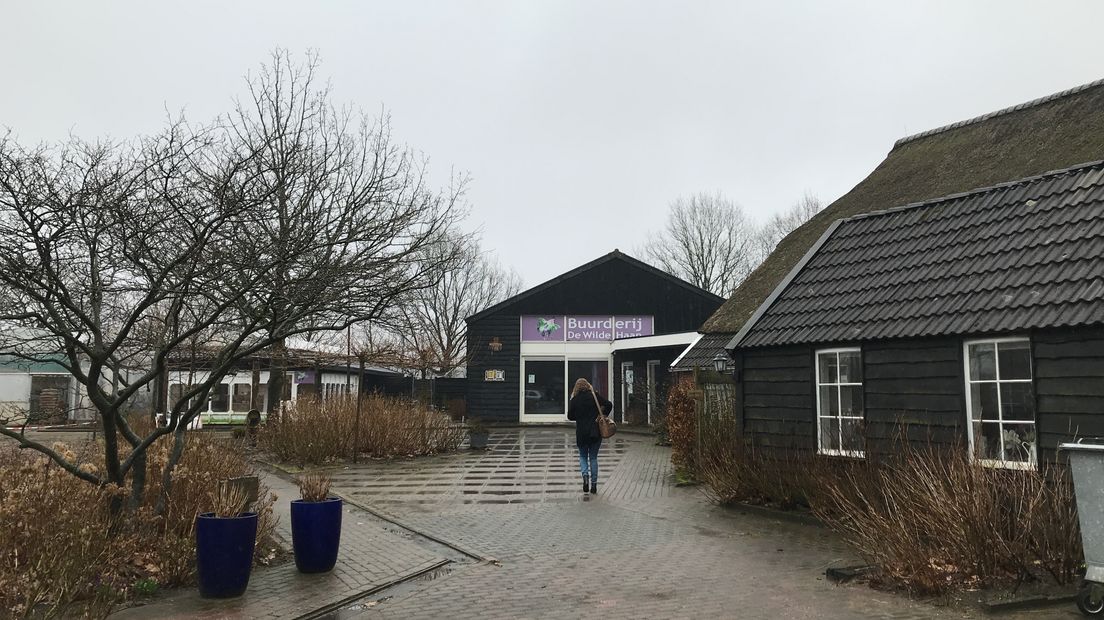 Zorgbuurderij De Wilde Haan in Balloo is gered van een faillissement (Rechten: Margriet Benak / RTV Drenthe)