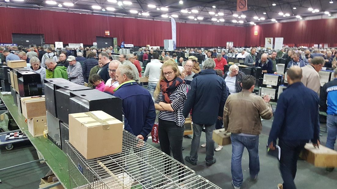 Duizenden vogels te koop op de vogelmarkt in IJsselhallen in Zwolle