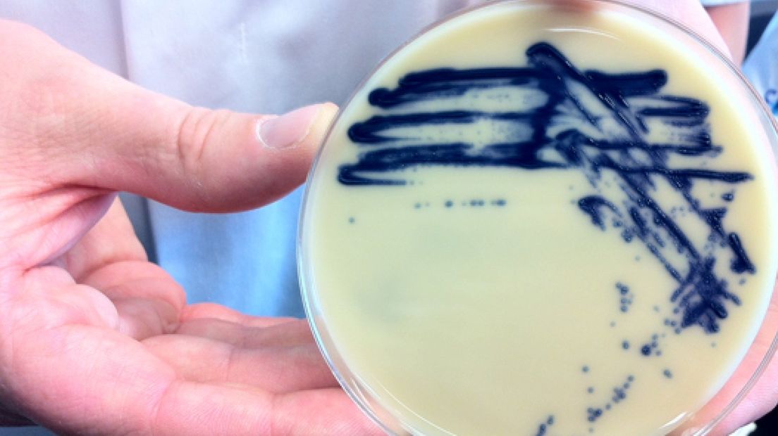 CWZ: 32 patiënten met VRE-bacterie