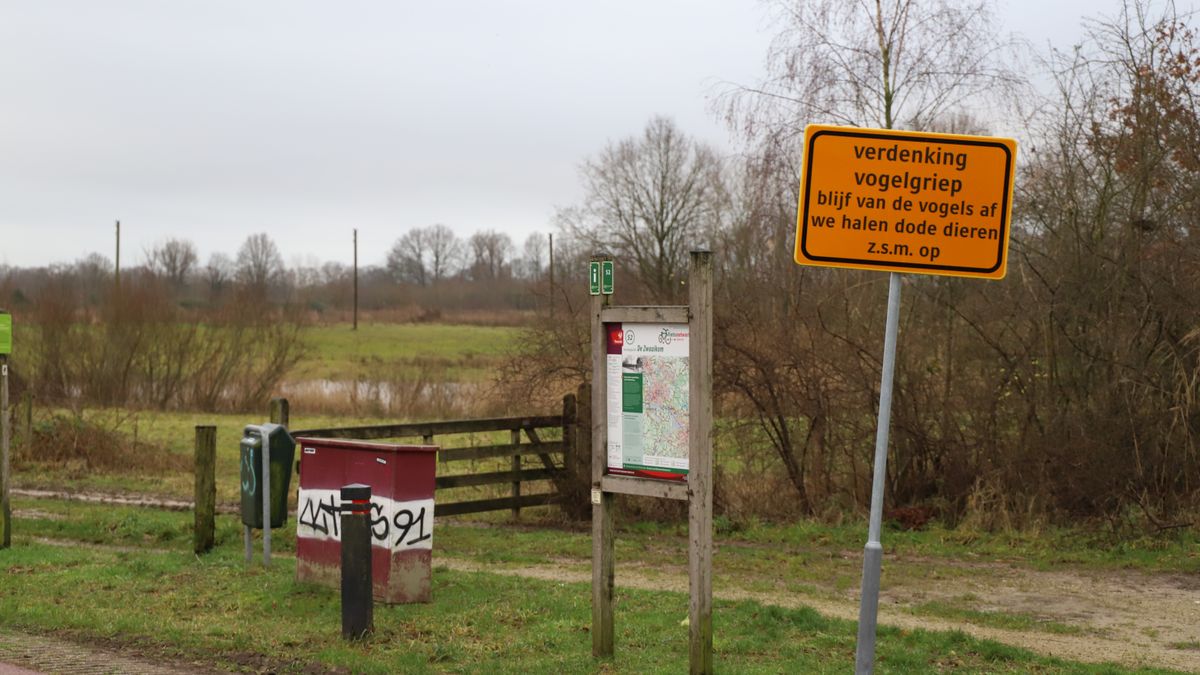 Overijsselse dierenartsen scherp op vogelgriep maar zien geen zieke katten