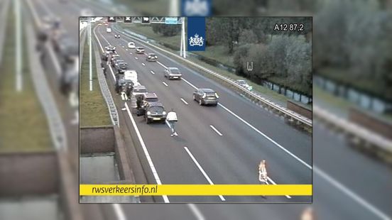 Drie rijstroken dicht na kettingbotsing A12 bij Maarsbergen. Drie rijstroken dicht na kettingbotsing A12 bij Maarsbergen.