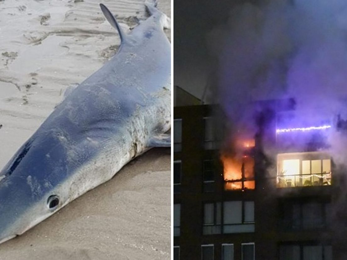 Verhalen van de week op zondag 13 december