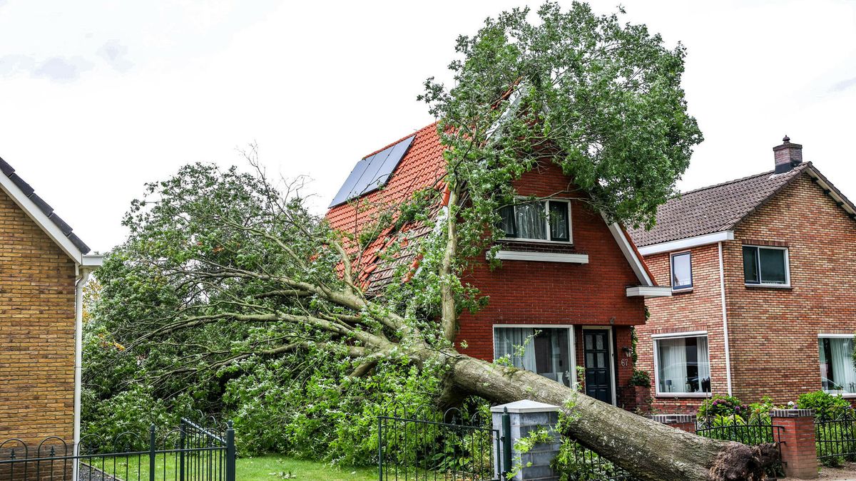Boom valt op woning in Valthe