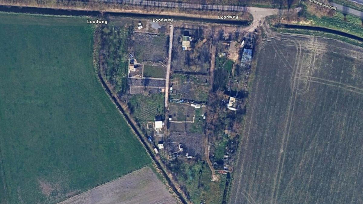 Gemeente worstelt met illegale bewoner op volkstuinencomplex Ritthem