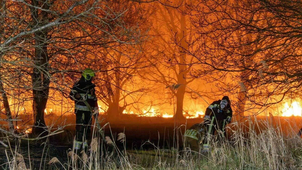 Brand in stuk bos bij Gersloot geblust, met dank aan sloot | Politie uit voorzorg naar Noorderhoek