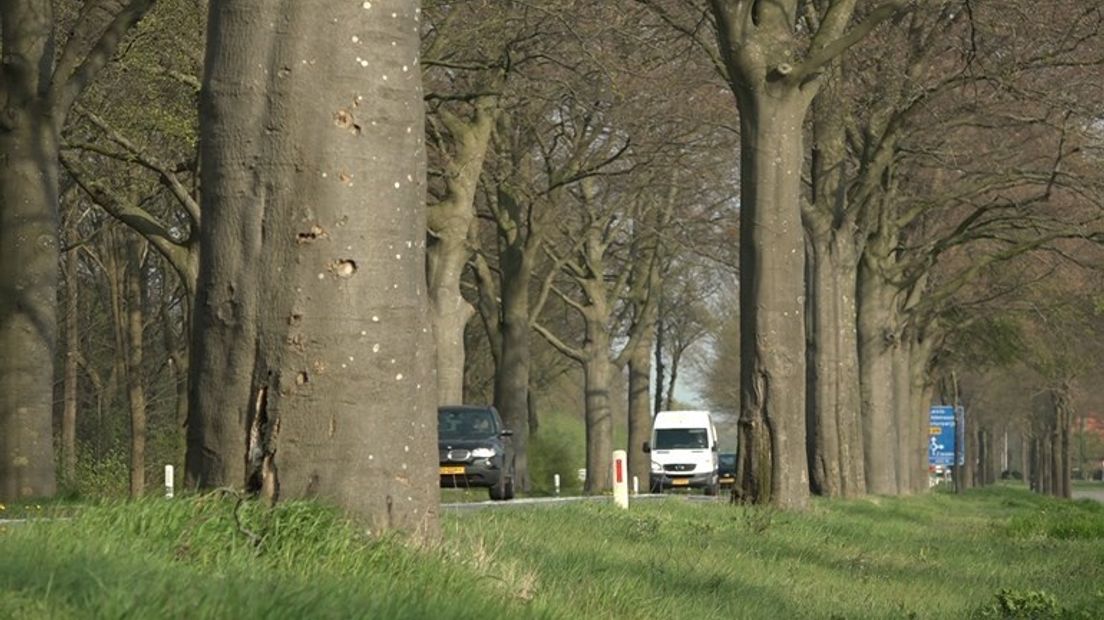 De N319 tussen Zutphen en Groenlo wordt aangepakt.