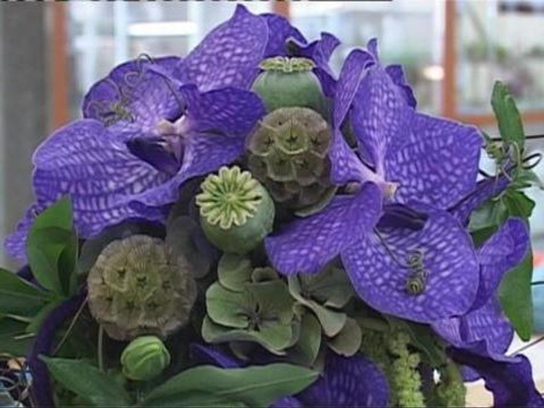 2010bloemschikken.cropresize.tmp.jpg