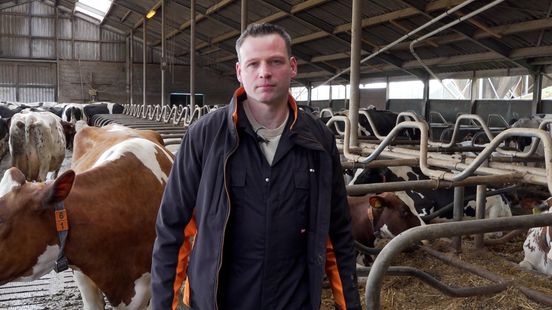 'Slimmer boeren' levert melkveehouders lagere uitstoot en betere opbrengst op Home