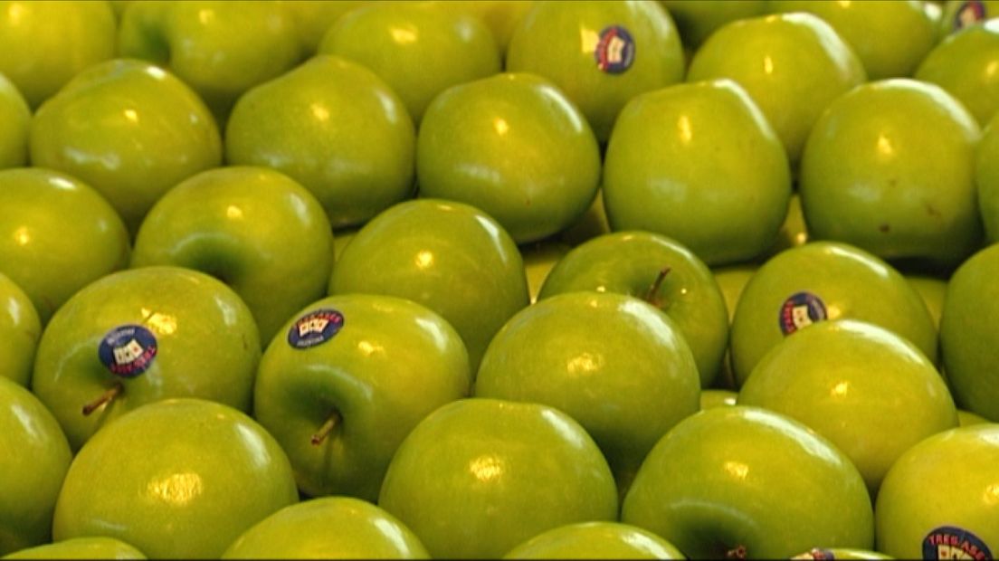 'Geen grote klappen in tuinbouwsector door boycot'