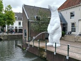 Pissende ijsbeer komt niet in Drenthe