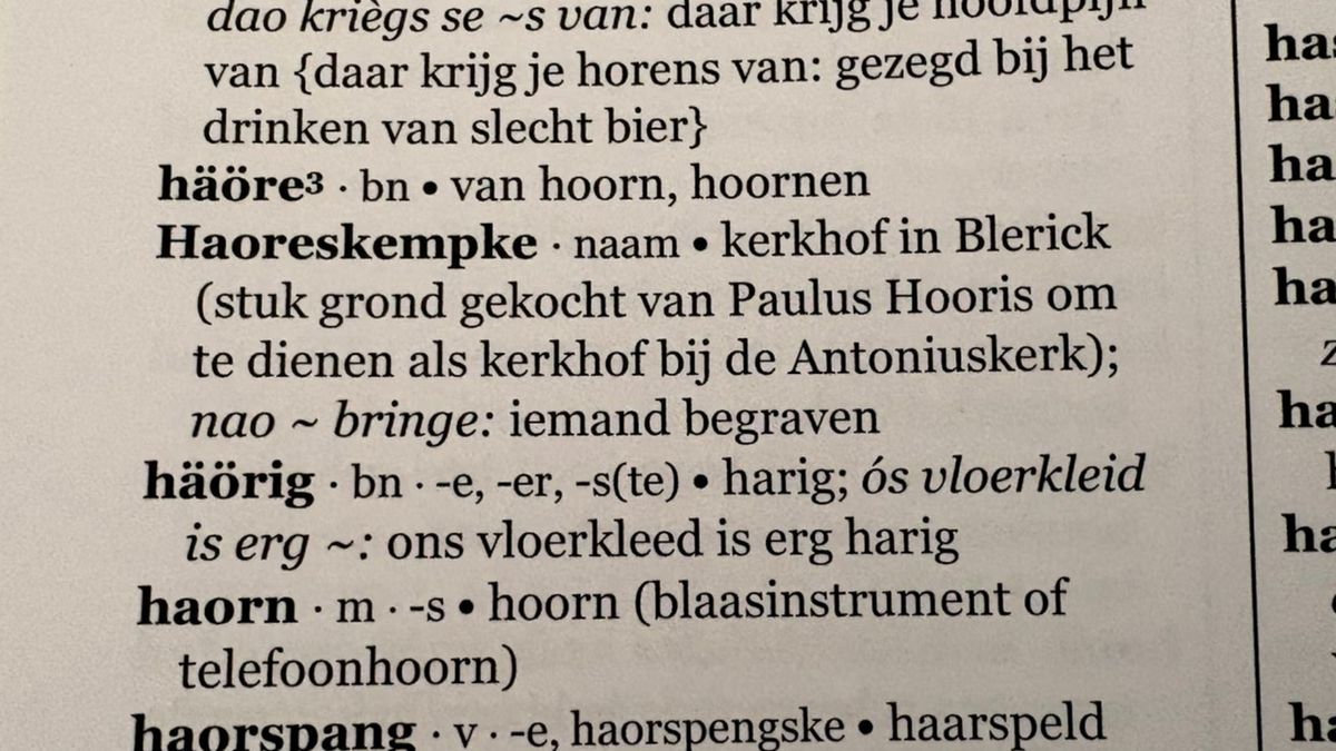 Blericks dialect vastgelegd in woordenboek: over de Maas praten ze anders
