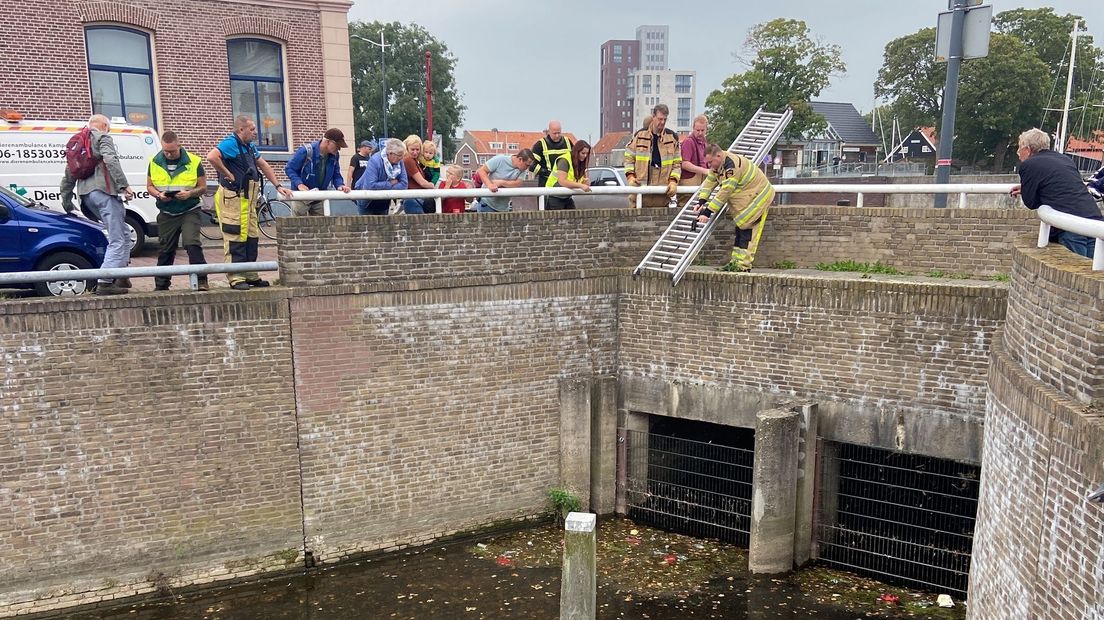 Dikke snoek zit muurvast onder brug in Kampen