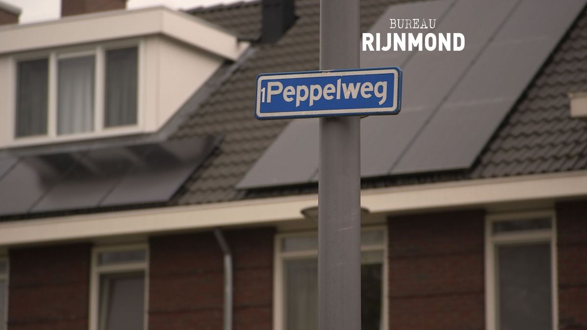 Tiener Mishandeld En Beroofd Door Gemaskerde Mannen Rijnmond Tiener Mishandeld En Beroofd Door Gemaskerde Mannen Rijnmond