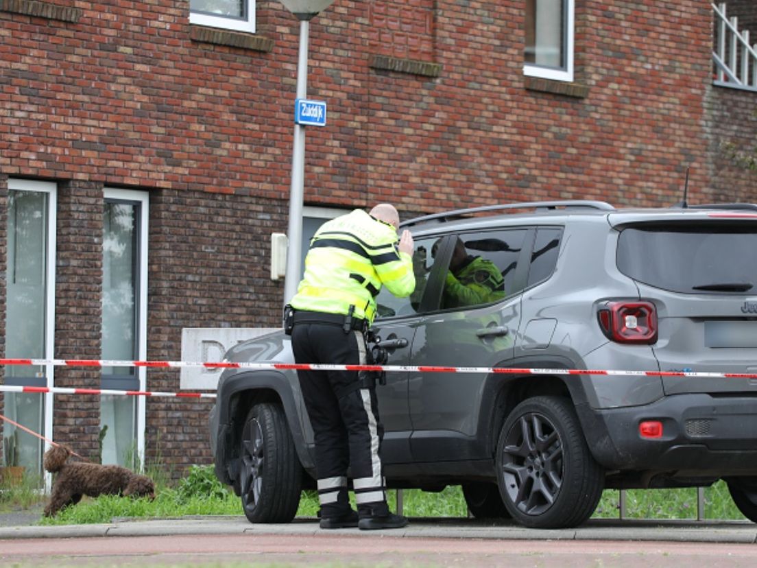 De Franse auto aan De Gantel in Den Hoorn