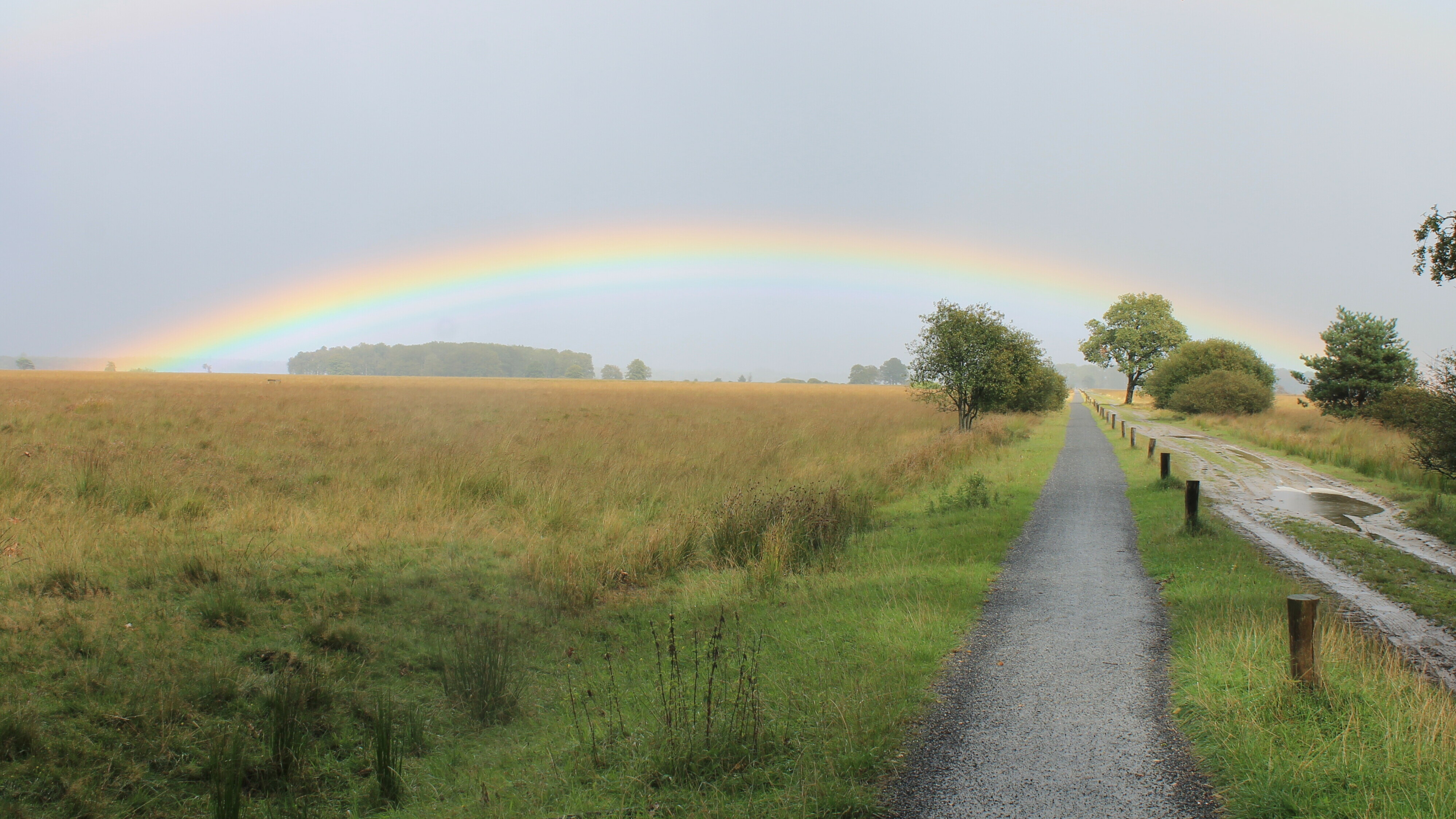 Tienduizenden euro's voor nationale parken in Drenthe