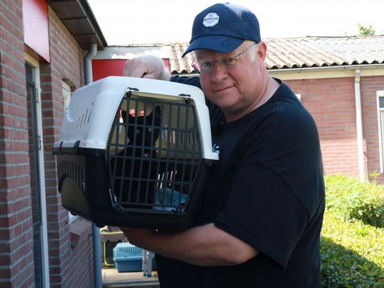 Treinmachinist Jos vindt kitten langs het spoor en adopteert hem: 'Een of twee meer, mag van mij wel'