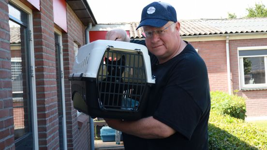 Treinmachinist Jos spot kittens langs het spoor en adopteert er zelf één