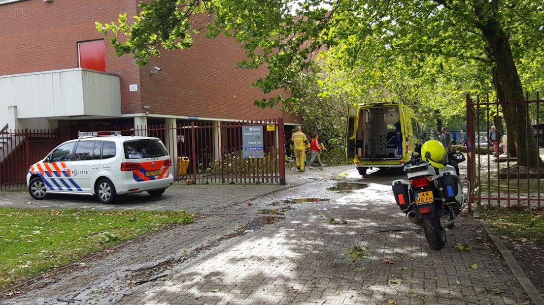 Boom waait op meisje in Enschede