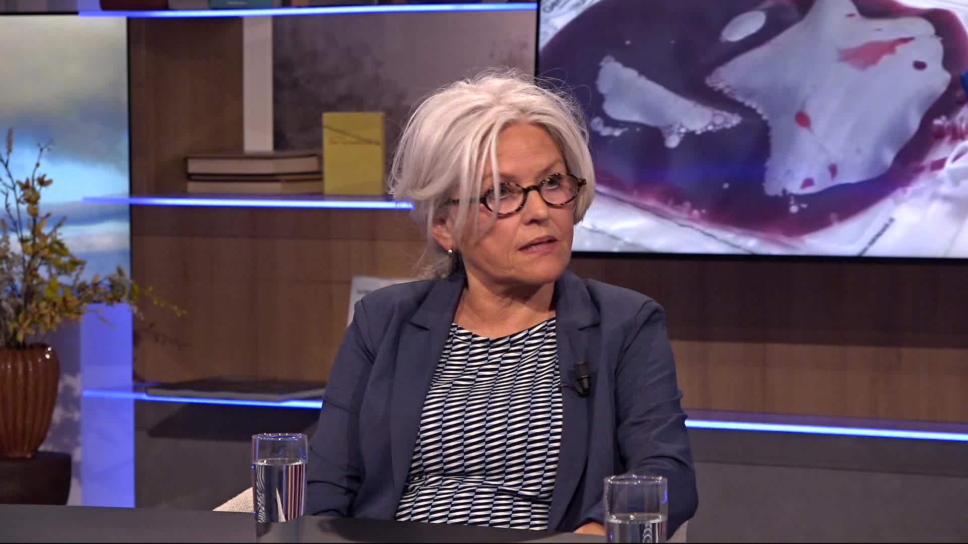 Inge Klinkert kreeg acute leukemie en schreef er een boek over