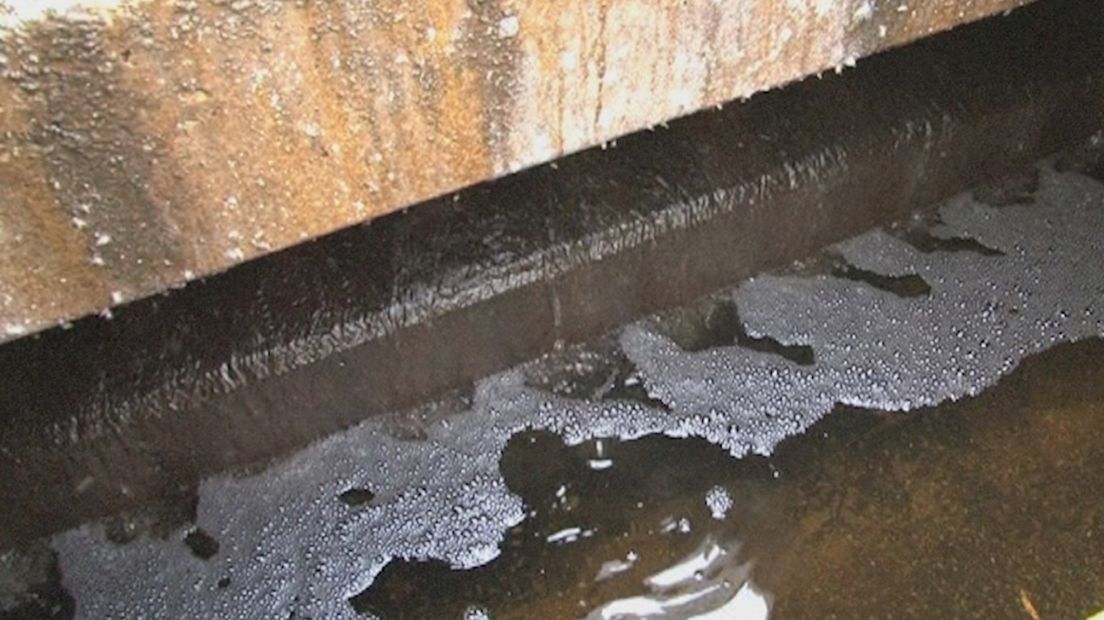 Bacterien in rioolwater