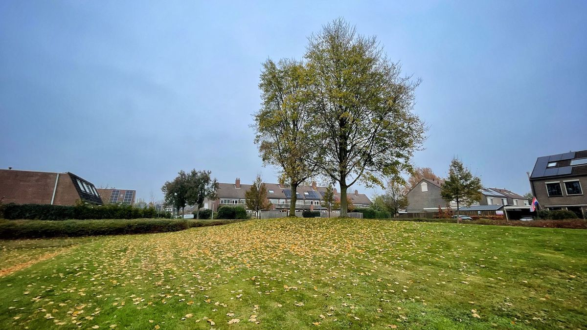 Het mysterie van De Bergerschans op Erica: de 'terugkeer' is nabij