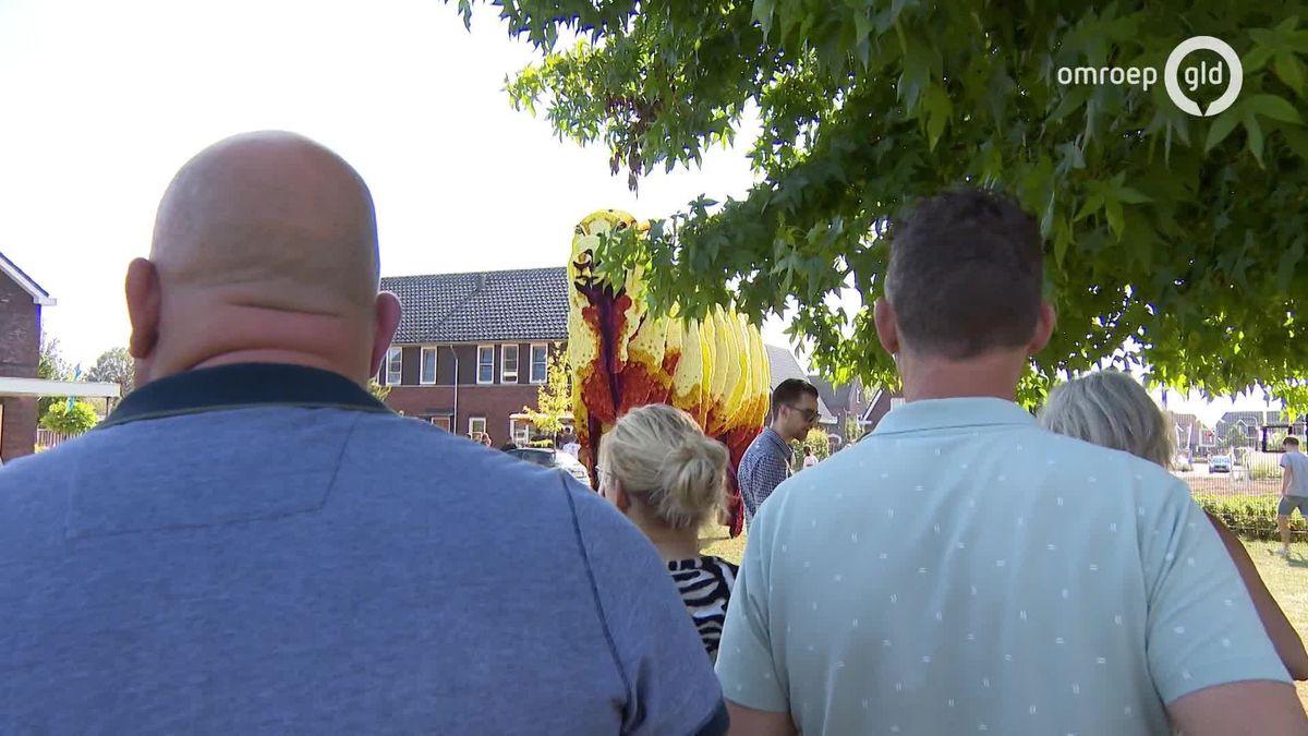 Bloemencorso Beltrum Festunique