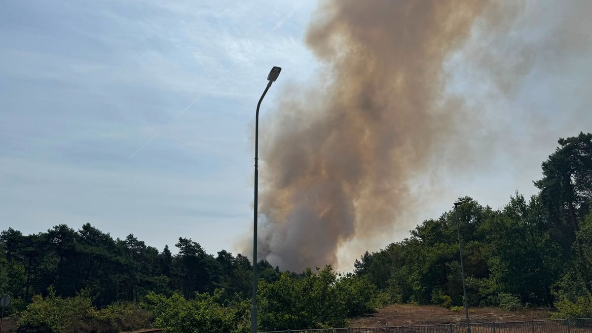 Grote natuurbrand moeilijk te bestrijden vanwege 'kroonvuur'