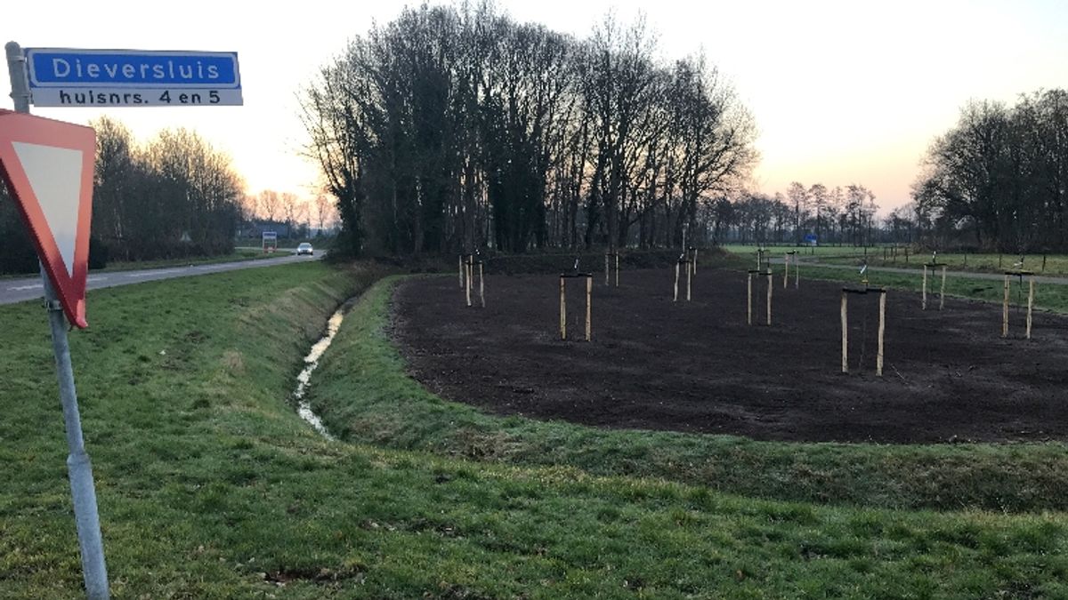 Dieverbrug krijgt mooie entree met boomgaard en bloemenweide