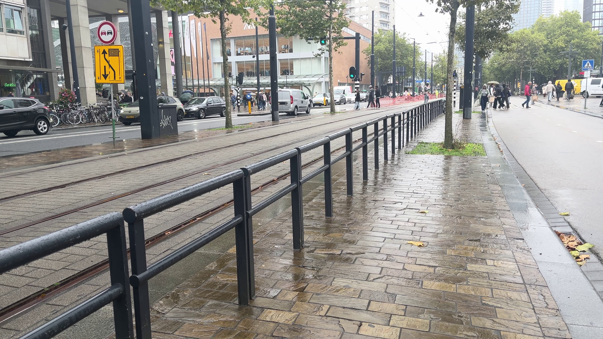Hekken bij de Coolsingel