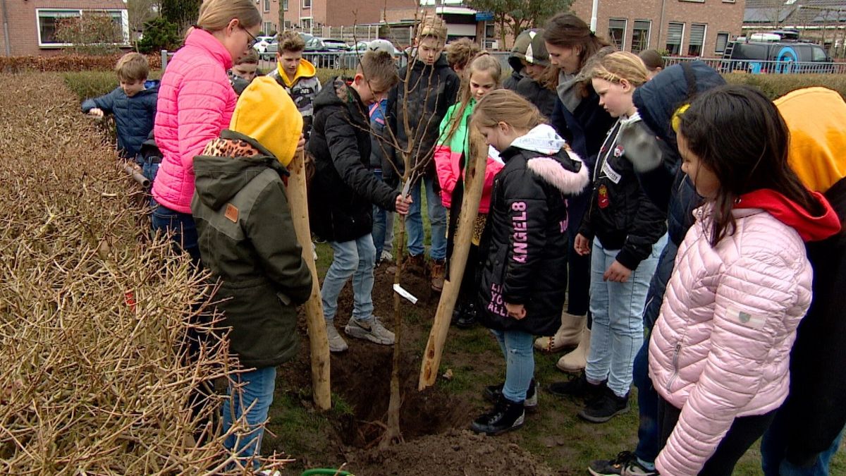Basisschool in Dreischor oogst over paar jaar zelf peren