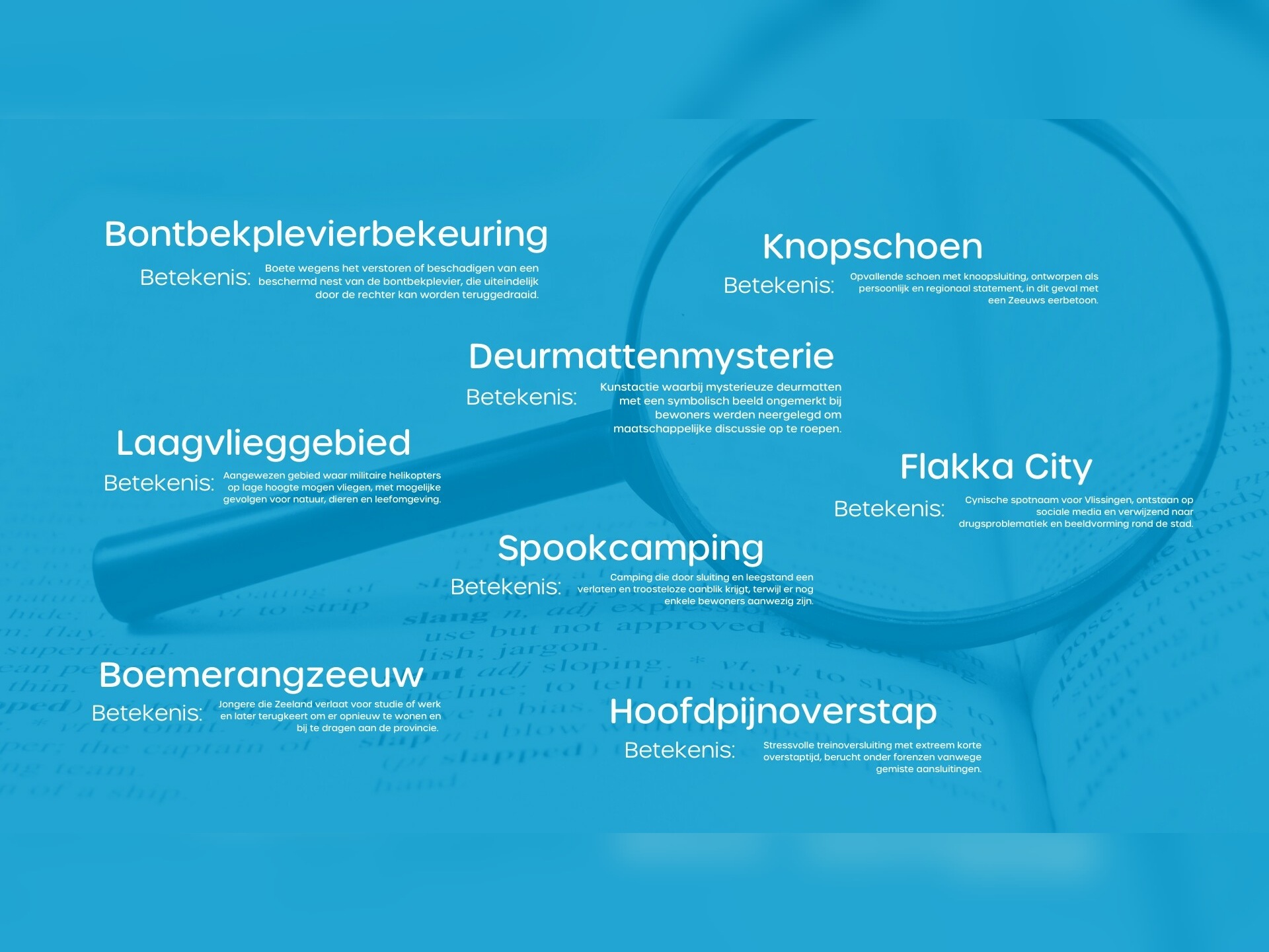 Wat vind jij hét Zeeuws woord van het jaar? Breng je stem uit!