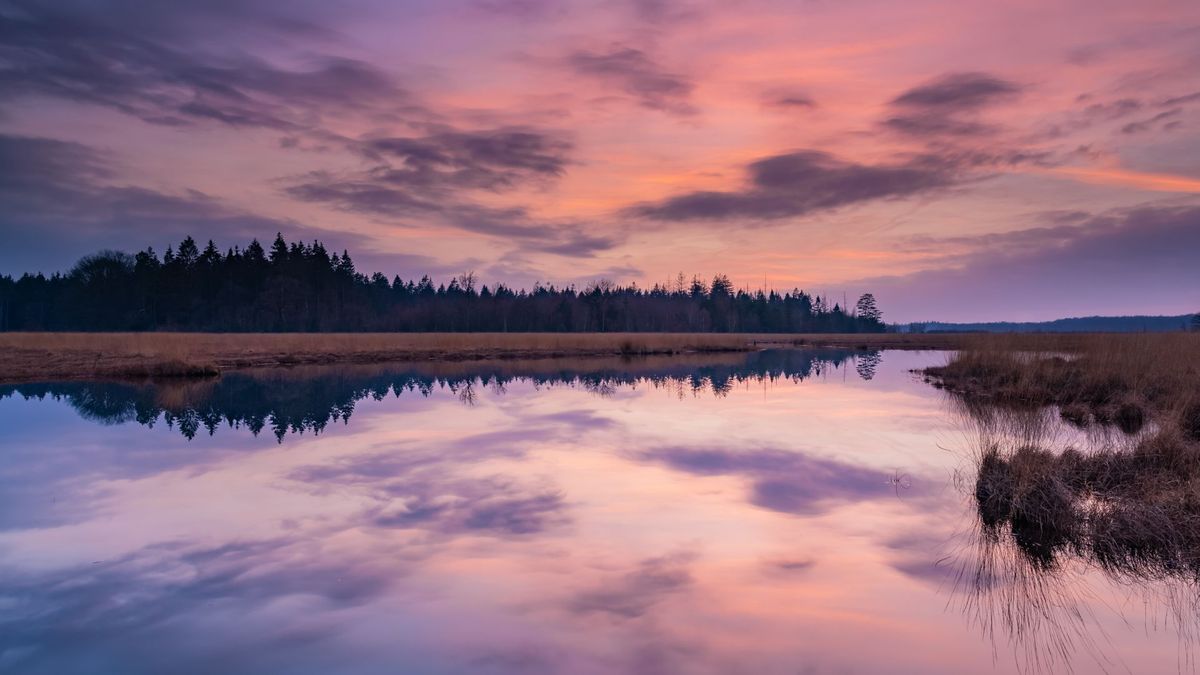 Fotograaf tipt mooiste natuurplekken Noord-Nederland: 'Dit is rustgevend'