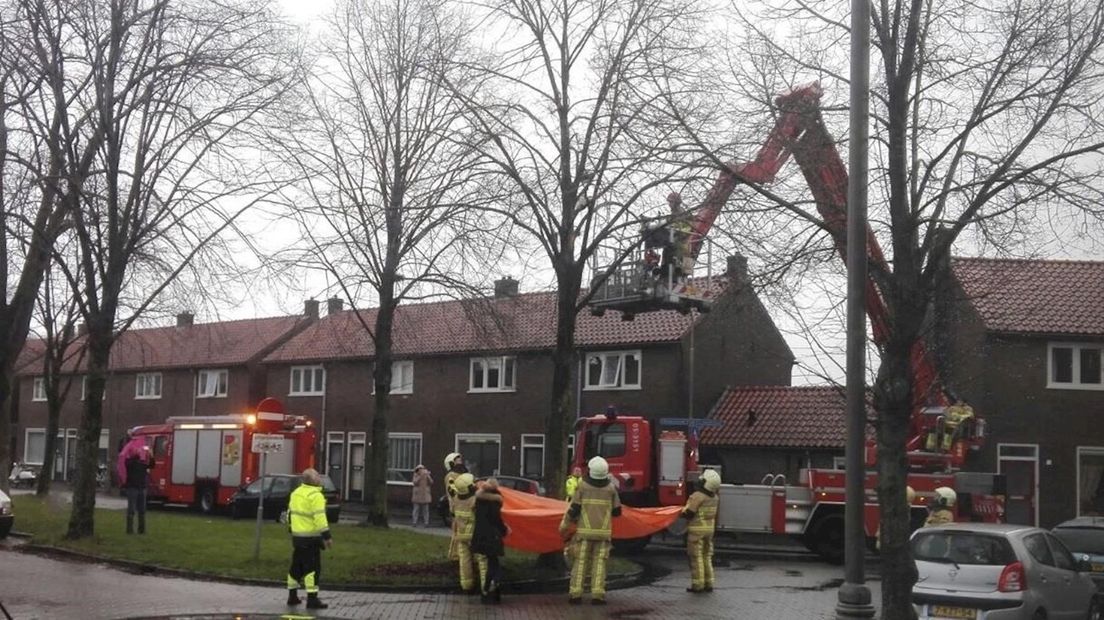 Kat durft boom niet meer uit
