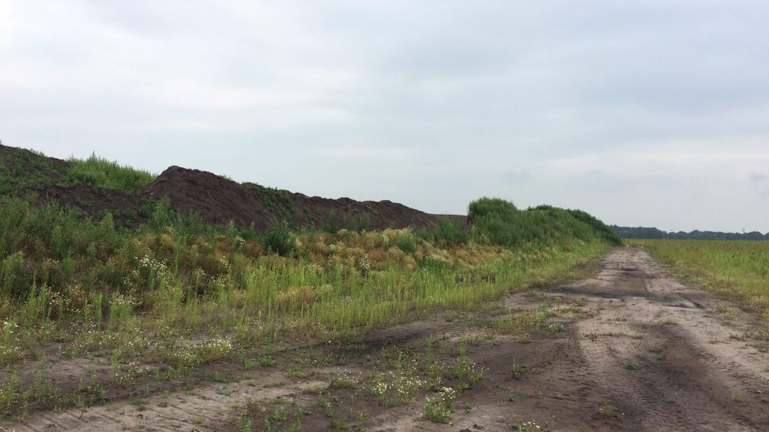 De landschapswal langs de N33 (Rechten: Marjolein Knol/RTV Drenthe)