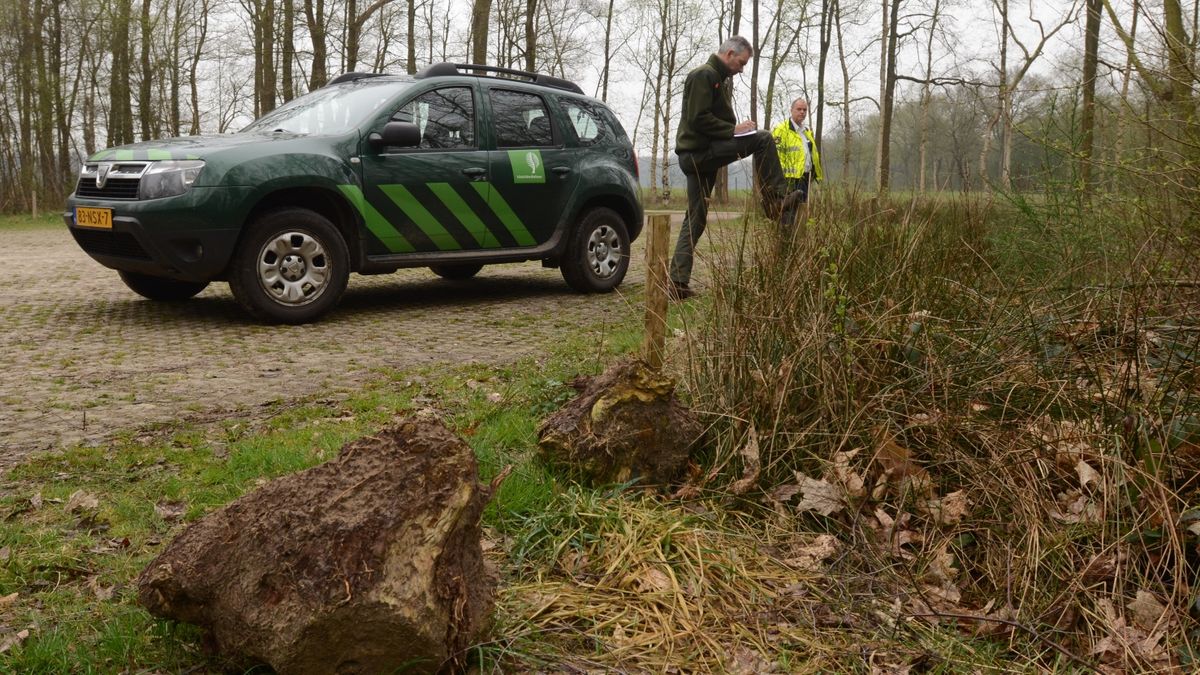Actie tegen afval in de Drentse natuur