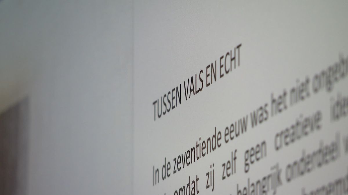 Museum Valse Kunst in Vledder heropent en jaagt op officiële museumstatus