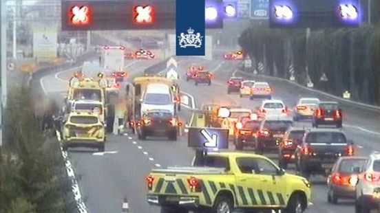 Ambulance raakt betrokken bij aanrijding | Dappere kat durft wel omhoog, maar niet naar beneden. Ambulance raakt betrokken bij aanrijding | Dappere kat durft wel omhoog, maar niet naar beneden.