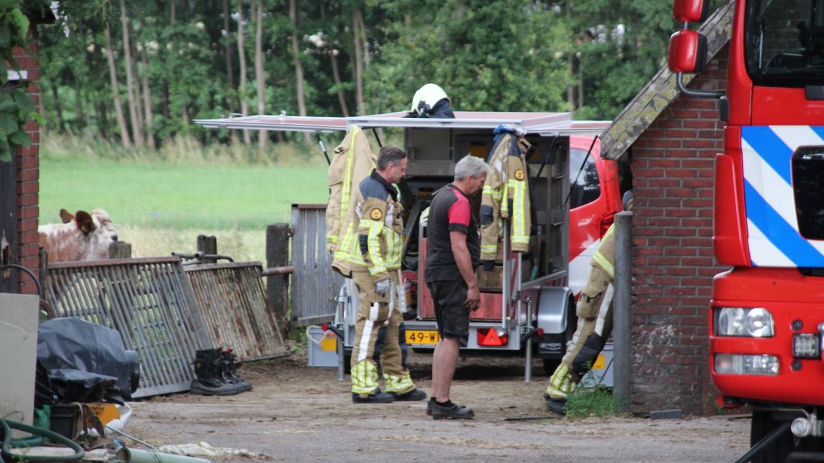 112 nieuws: reddingsactie voor koe in Markelo | Boerenprotest in Hardenberg