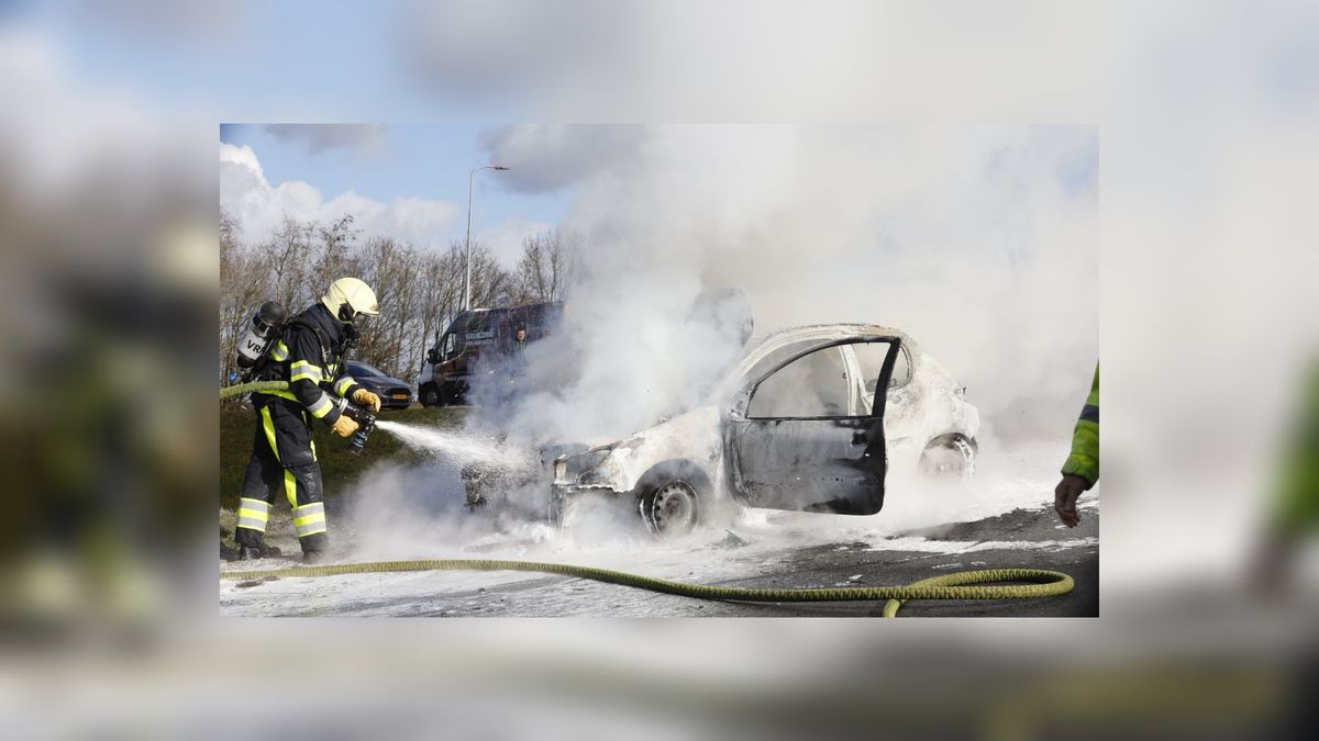 Auto gaat in vlammen op bij Frieschepalen