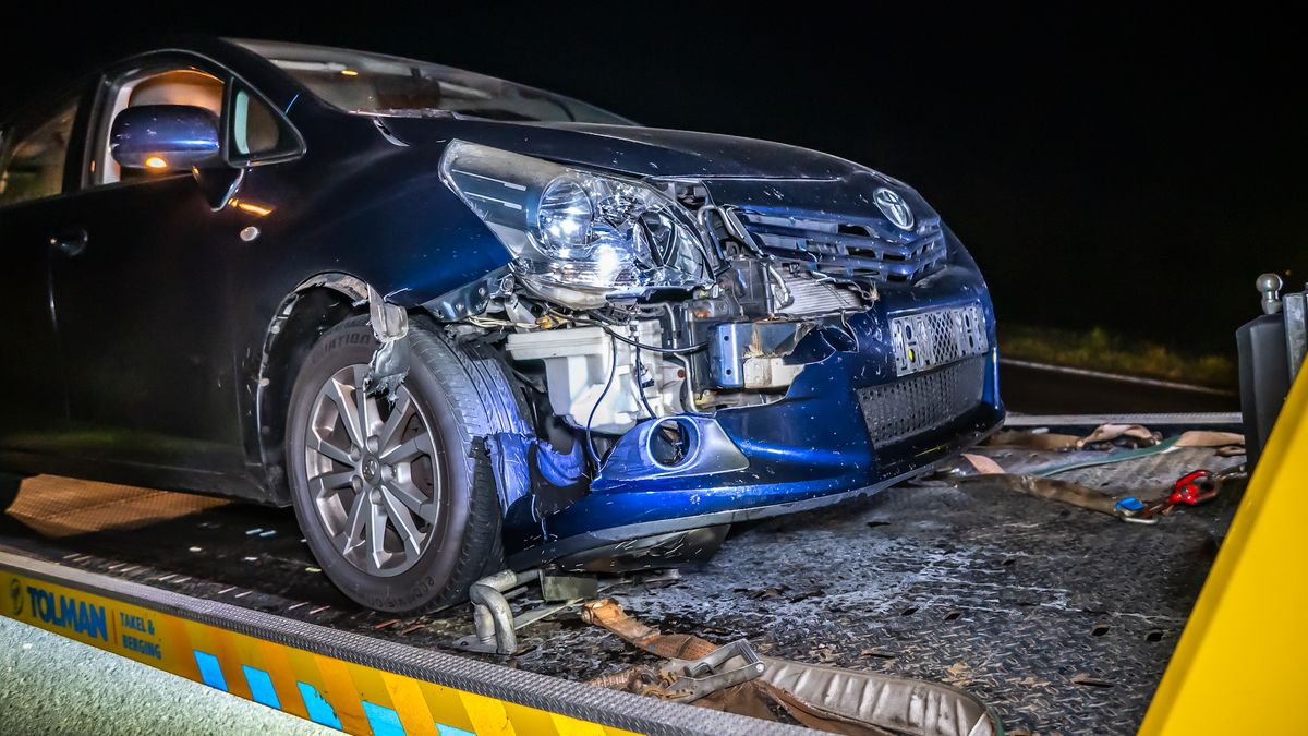 Aanrijding met een ree op de N381 bij Donkerbroek