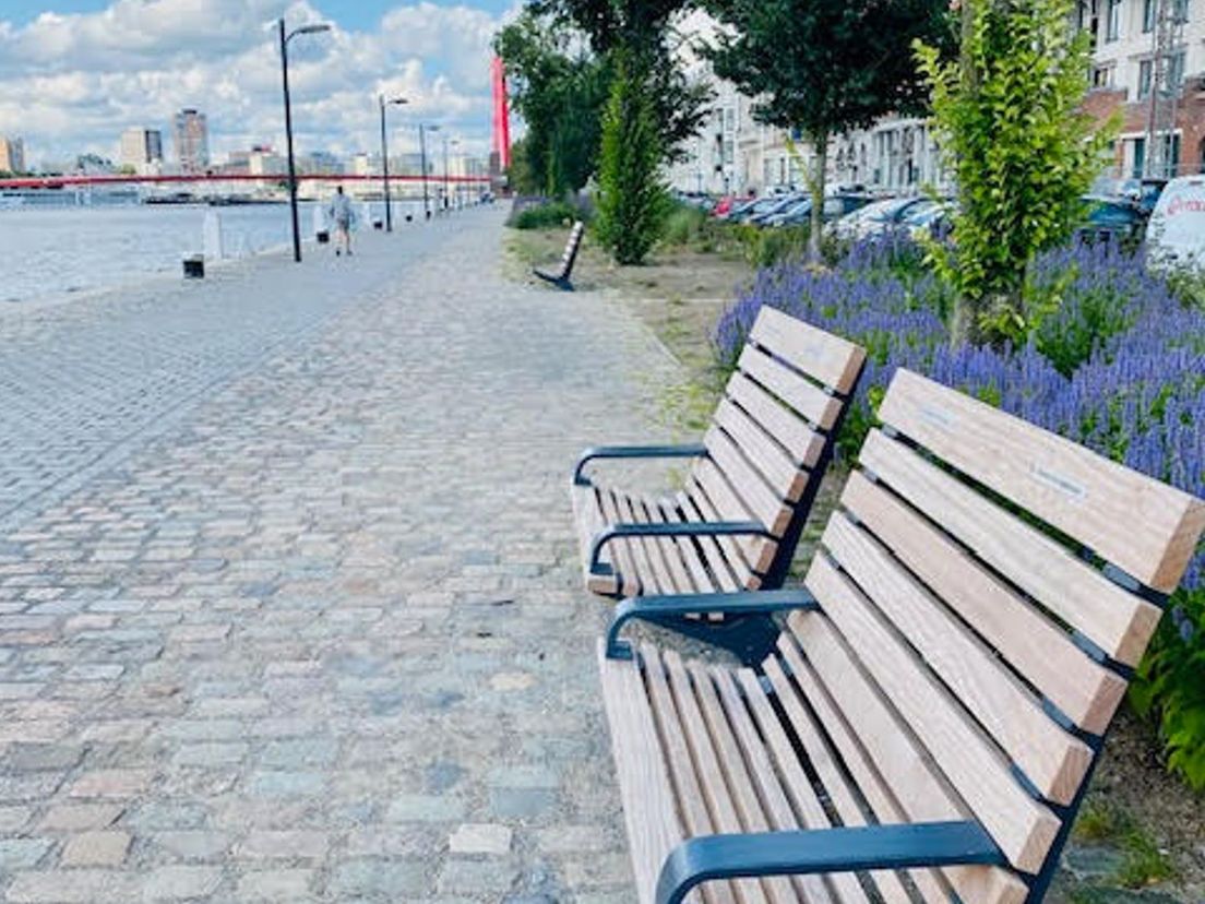 Bankjes tussen het groen op de Maaskade op het Noordereiland in Rotterdam