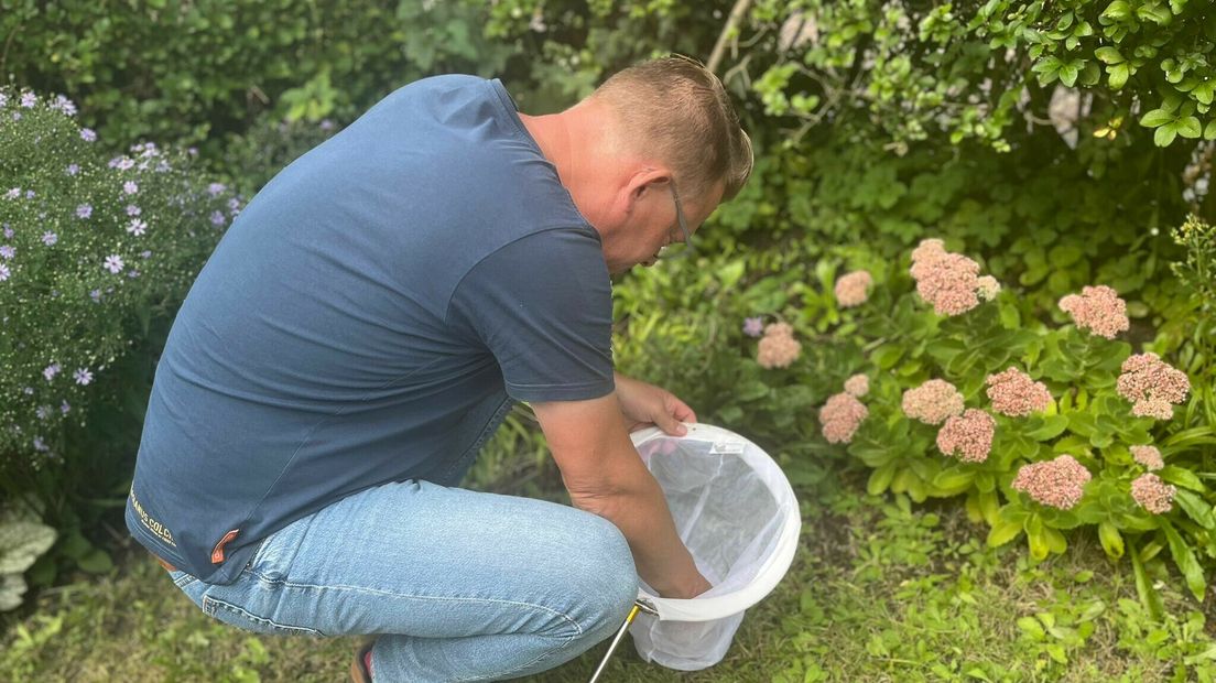 In de voortuin zijn ook genoeg diertjes te vinden
