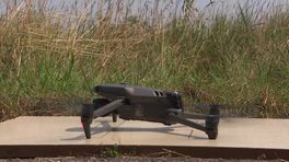 Met een drone op coloradokeverjacht