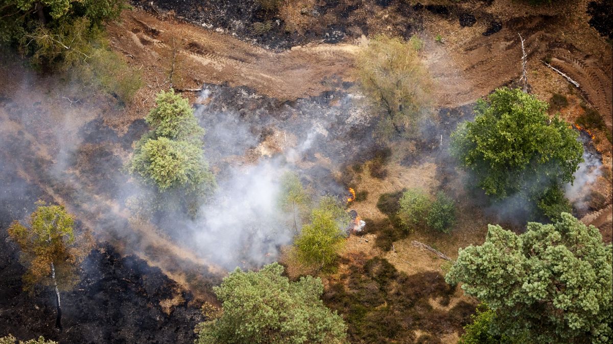 Natuurgebied bij Venray blijft voorlopig gesloten voor publiek na grote brand