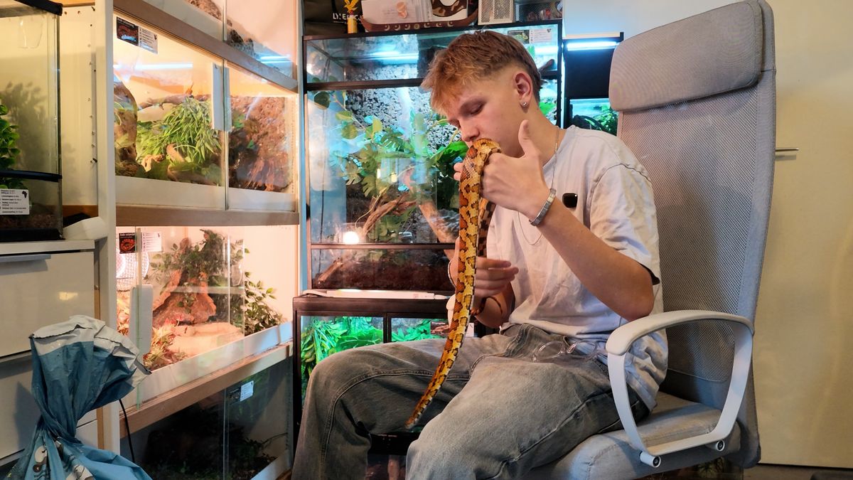 Monte (16) deelt slaapkamer met veertien dieren: 'Mijn ouders zijn geen fan'